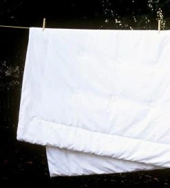 Bianca Lorenne Silk Duvet Inner