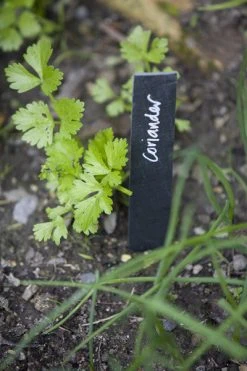 Heaven In Earth Slate Garden Labels Homewares