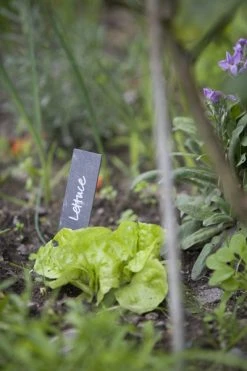 Heaven In Earth Slate Garden Labels Homewares
