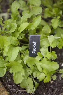 Heaven In Earth Slate Garden Labels Homewares