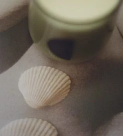 Homewares Arc Candle | Bee