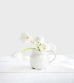 Father Rabbit Dining Benoir Pitcher Homewares