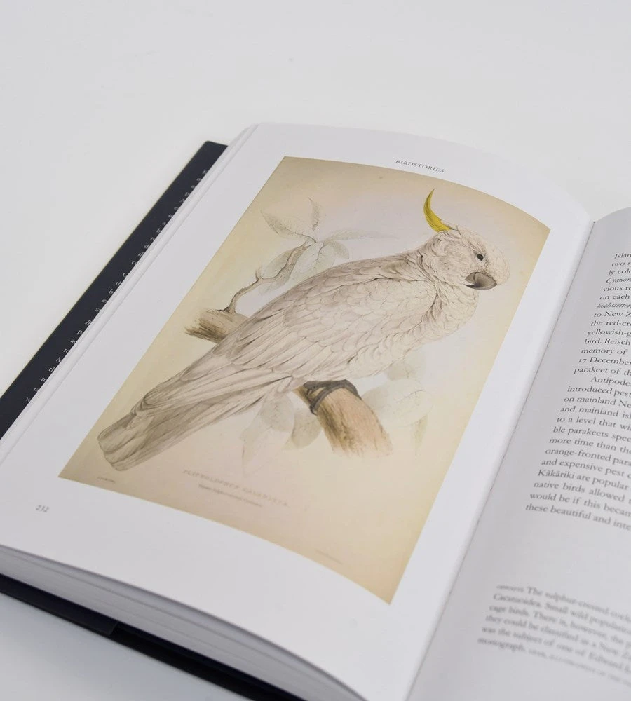 Potton & Burton Homewares Birdstories | By Geoff Norman