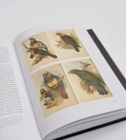 Potton & Burton Homewares Birdstories | By Geoff Norman