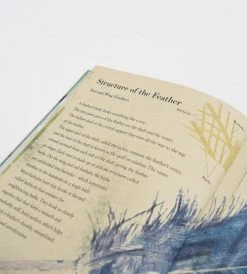 Prestel Publishing Birds And Their Feathers | By Britta Teckentrup Baby + Child