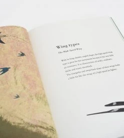 Prestel Publishing Birds And Their Feathers | By Britta Teckentrup Baby + Child