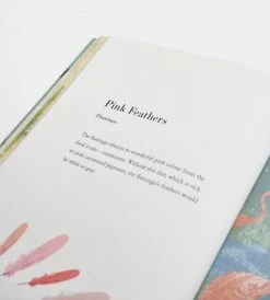 Prestel Publishing Birds And Their Feathers | By Britta Teckentrup Baby + Child