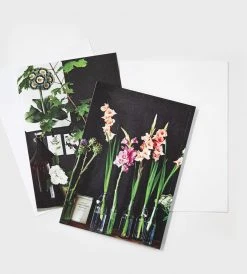 Publishers Distribution Ltd Wallets Botanical Style Wallet Notecards