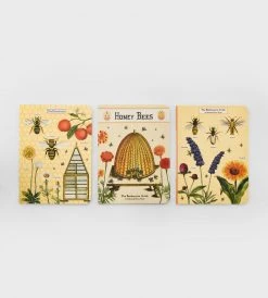 Cavallini | Bees & Honey Mini Notebooks | Set Of 3 Homewares