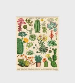 Homewares Cavallini | Cacti & Succulents Puzzle | 1000 Pieces