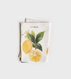 Homewares Cavallini | Citrus Cloth Napkins | Set Of 4