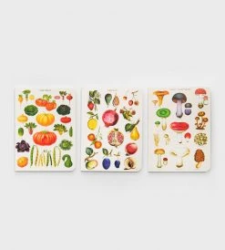Cavallini | Garden Mini Notebooks | Set Of 3 Homewares
