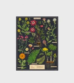Homewares Cavallini | Herbarium Vintage Puzzle | 1000 Pieces