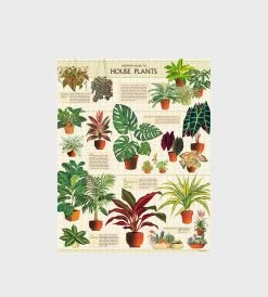 Homewares Cavallini | House Plants Puzzle | 1000 Pieces