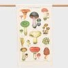 Homewares Cavallini | Mushrooms Tea Towel