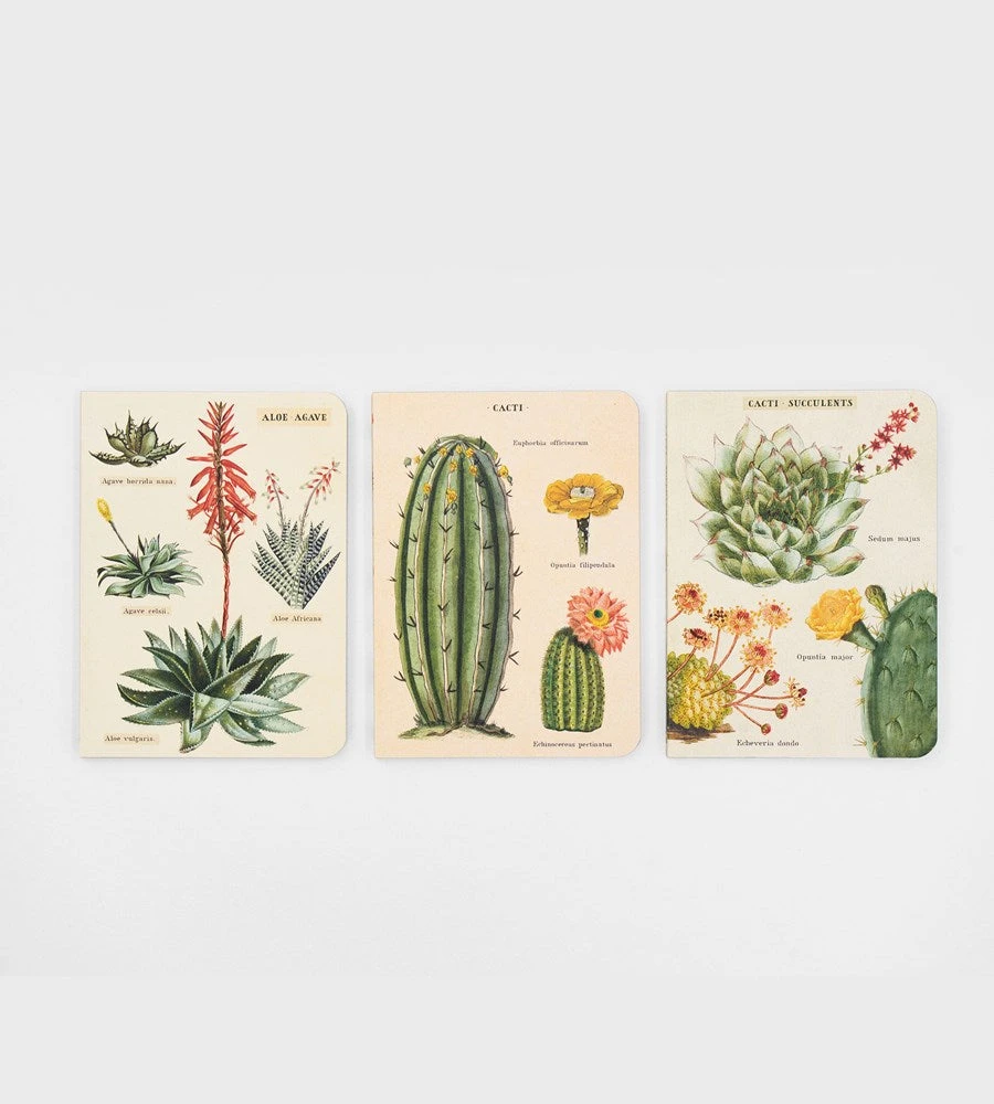 Cavallini | Succulents Mini Notebooks | Set Of 3 Homewares