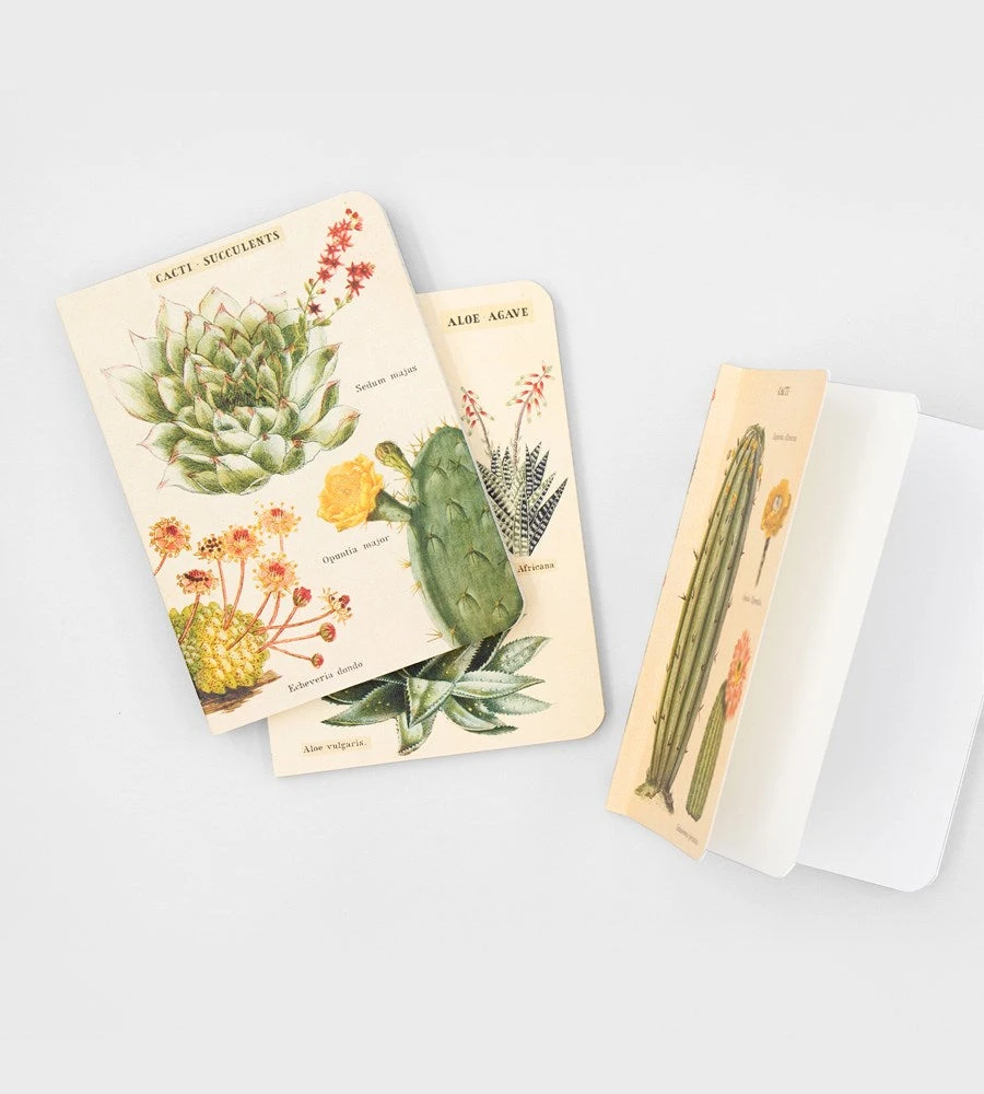 Cavallini | Succulents Mini Notebooks | Set Of 3 Homewares
