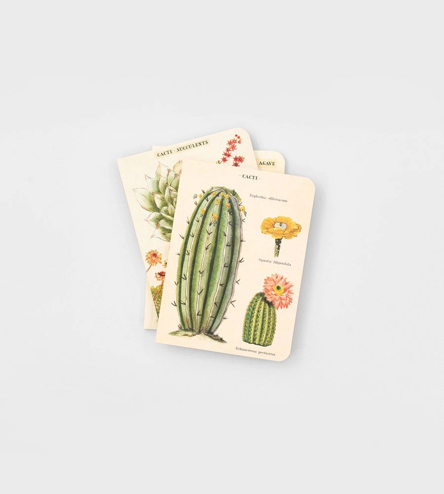 Cavallini | Succulents Mini Notebooks | Set Of 3 Homewares