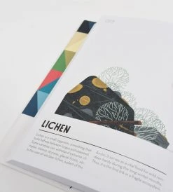 Prestel Publishing Colorama: From Fuchsia To Midnight Blue | By Cruschiform