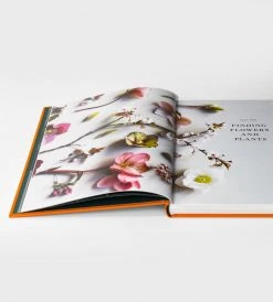 Publishers Distribution Ltd Cultivated | The Elements Of Floral Style | By Christin Geall Homewares