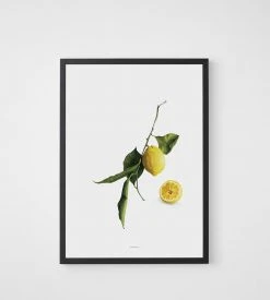 Father Rabbit Limited Homewares Father Rabbit | Citrine Print