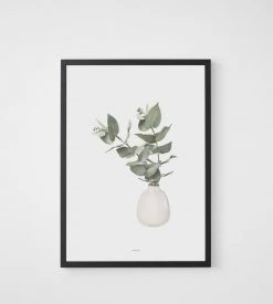 Father Rabbit Limited Homewares Father Rabbit | Eucalyptus Print