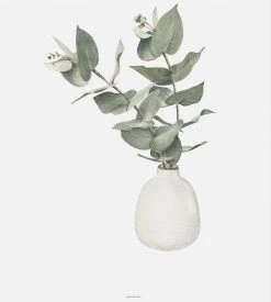 Father Rabbit Limited Homewares Father Rabbit | Eucalyptus Print