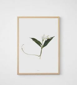 Father Rabbit Limited Father Rabbit | Jasmine Print Homewares