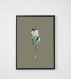 Father Rabbit Limited Homewares Father Rabbit | Protea Print | Khaki