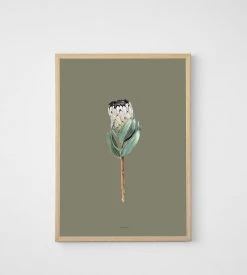 Father Rabbit Limited Homewares Father Rabbit | Protea Print | Khaki