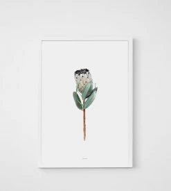 Father Rabbit Limited Father Rabbit | Protea Print Homewares