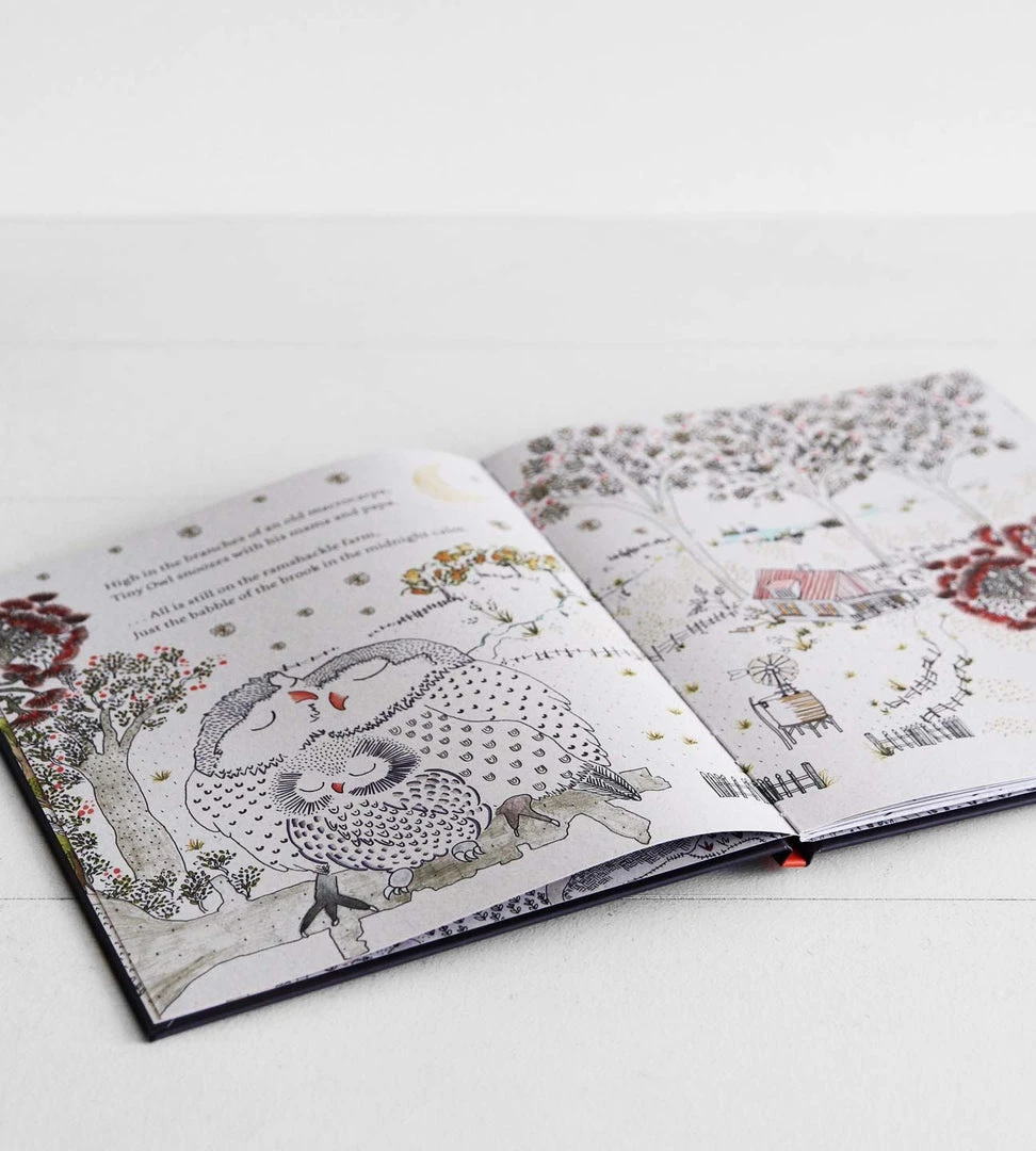 Clay Press Baby + Child Tiny Owl On The Ramshackle Farm