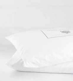 Bianca Lorenne Silk Pillow Inner