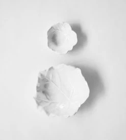 Father Rabbit Living Leaf Bowl | Small