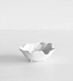 Father Rabbit Living Leaf Bowl | Small