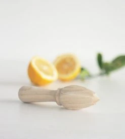 Father Rabbit Kitchenware Wooden Citrus Juicer Homewares
