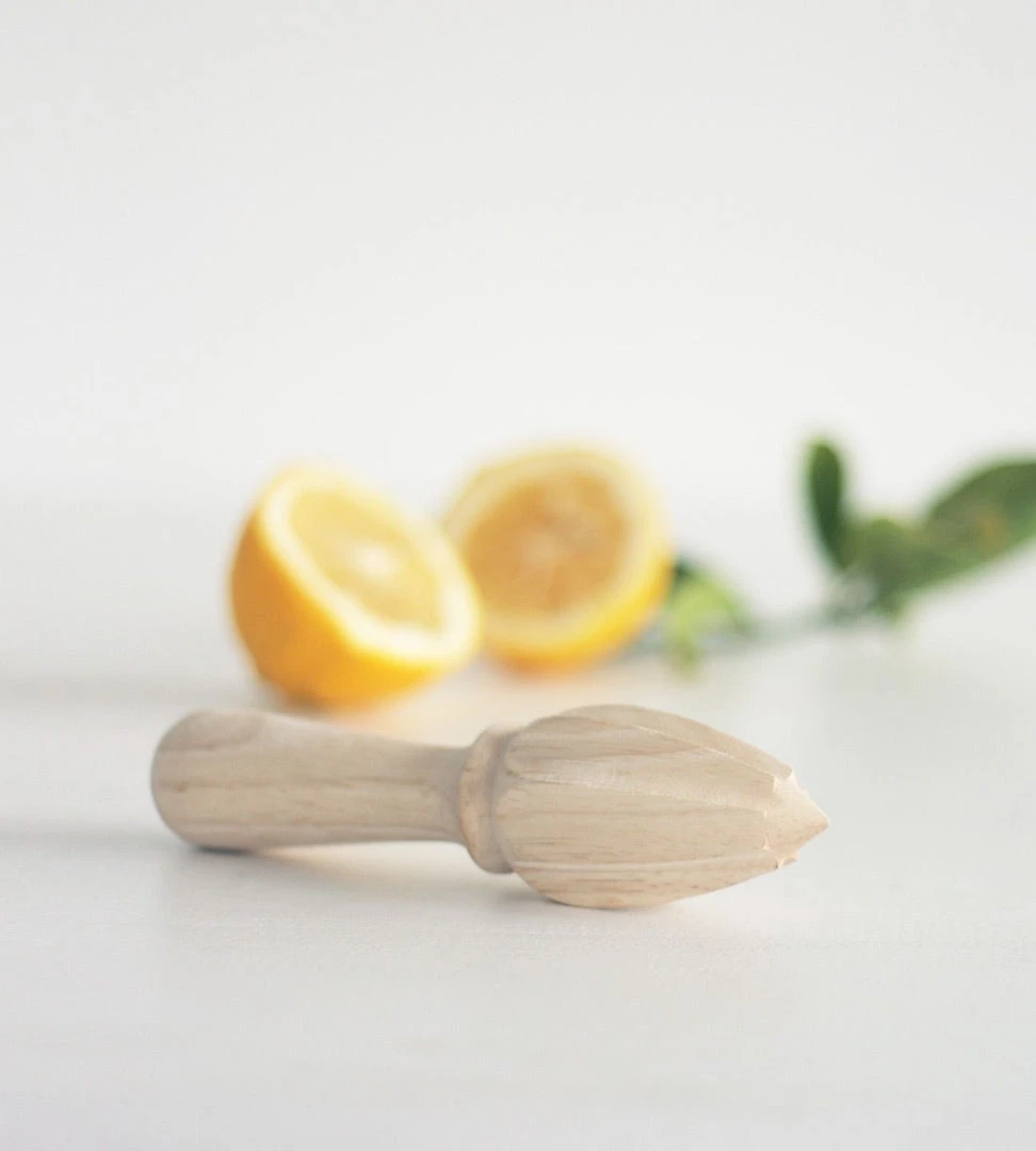 Father Rabbit Kitchenware Wooden Citrus Juicer Homewares