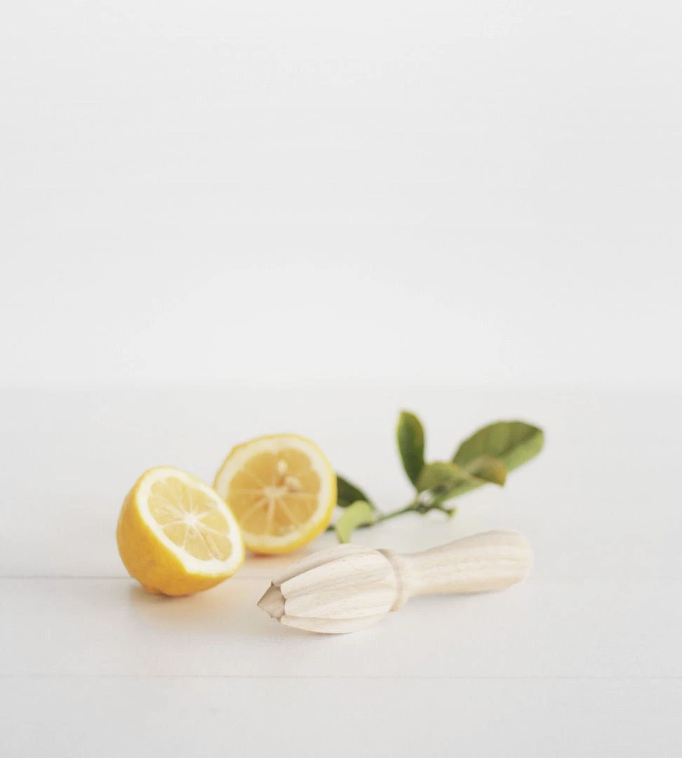 Father Rabbit Kitchenware Wooden Citrus Juicer Homewares