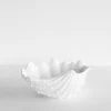Father Rabbit Living Clam Bowl | Medium Homewares