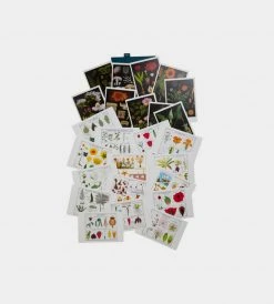 Publishers Distribution Ltd Note Card Sets The Art Of Instruction Postcard Set | Vintage Educational Charts