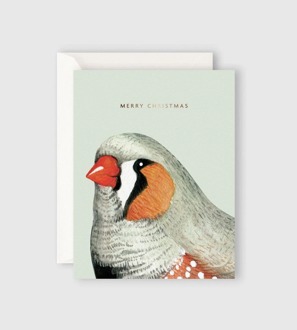 Father Rabbit Stationery | Merry Christmas Bird Card Gifting