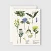 Father Rabbit Stationery | Botanical Collection Card Gifting