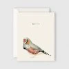 Father Rabbit Stationery | Happy Bird Card Gifting