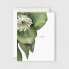 Father Rabbit Stationery | Hellebore Best Wishes Card