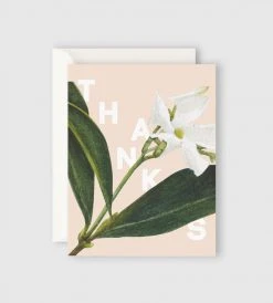 Father Rabbit Stationery | Jasmine Thanks Card Gifting