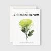 Father Rabbit Stationery | The Chrysanthemum Card Gifting