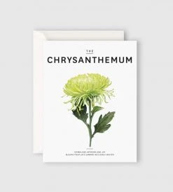 Father Rabbit Stationery | The Chrysanthemum Card Gifting