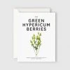 Father Rabbit Stationery | The Green Hypericum Berries Card Gifting