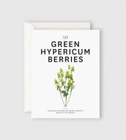 Father Rabbit Stationery | The Green Hypericum Berries Card Gifting
