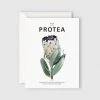 Father Rabbit Stationery | The Protea Card